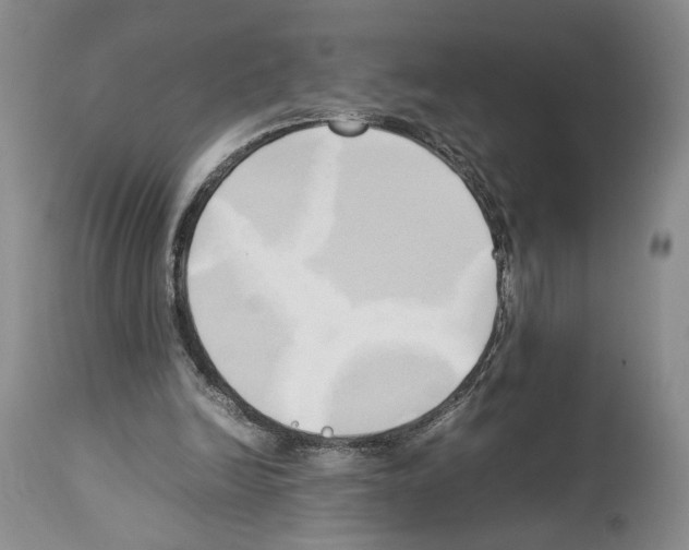 X0000114060246200911161135