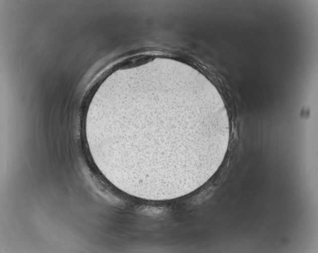 X0000114060247200911161135