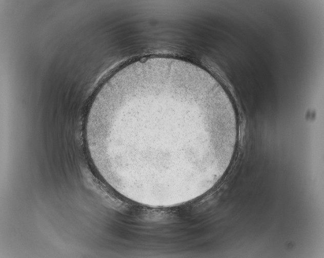 X0000114060249200911161135