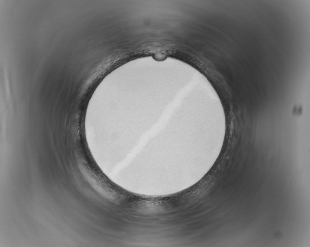 X0000114060250200911161135