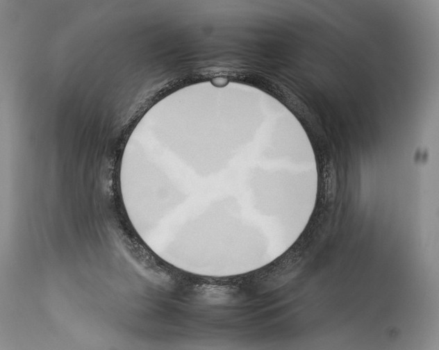 X0000114060255200911161135