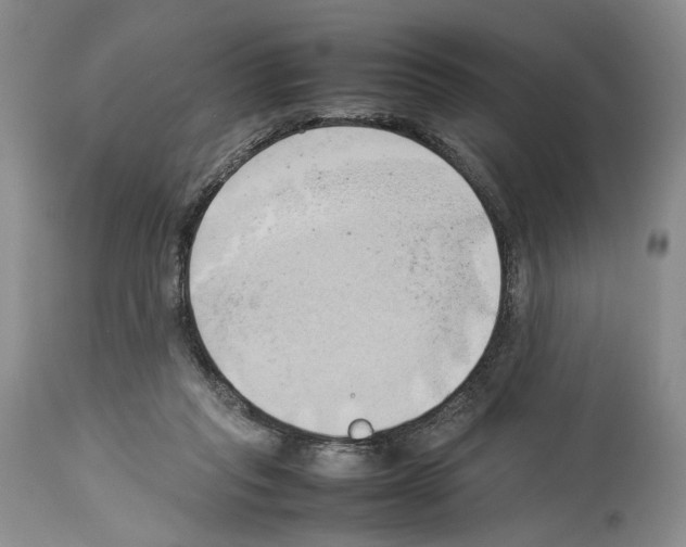 X0000114060261200911161135