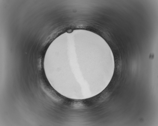 X0000114060262200911161135