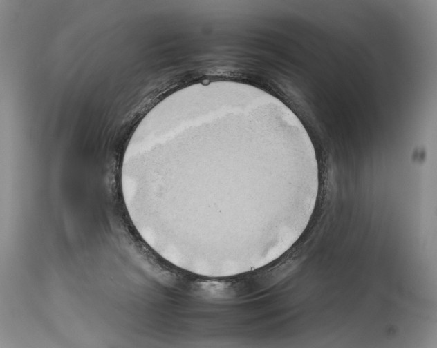 X0000114060265200911161135