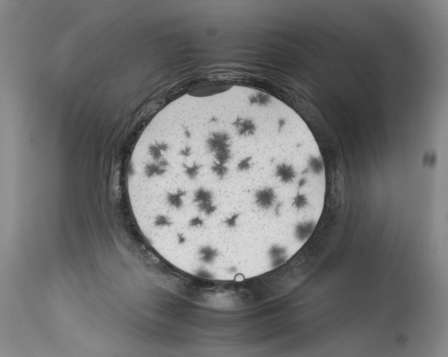 X0000114060267200911161135