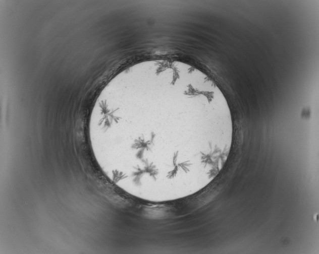 X0000114060269200911161135