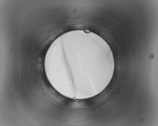 X0000114060270200911161135