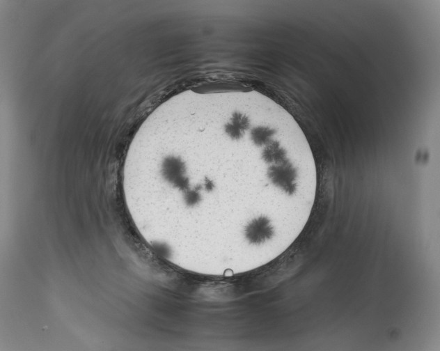 X0000114060271200911161135