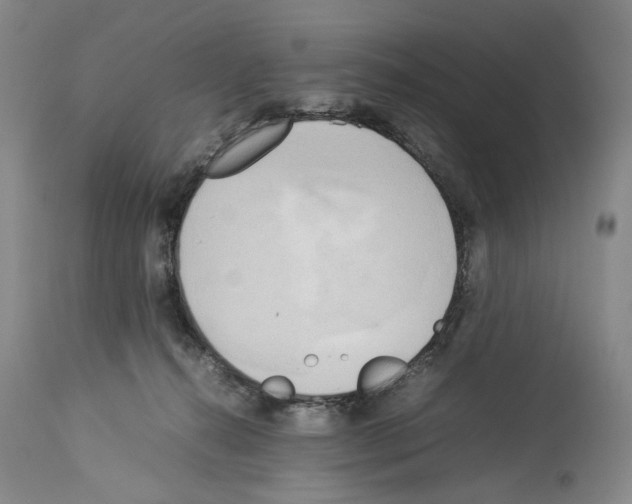 X0000114060272200911161135