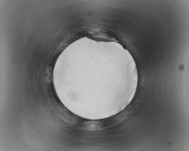 X0000114060273200911161135