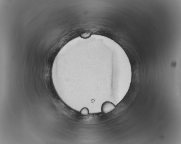 X0000114060274200911161135