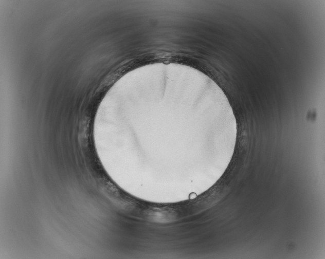 X0000114060275200911161136