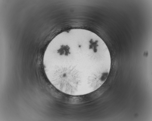 X0000114060277200911161136