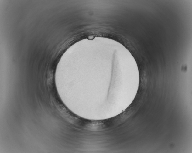 X0000114060278200911161136