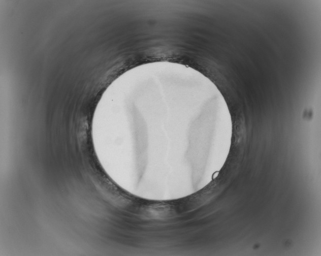 X0000114060279200911161136