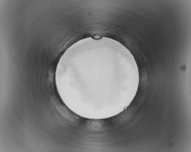 X0000114060282200911161136