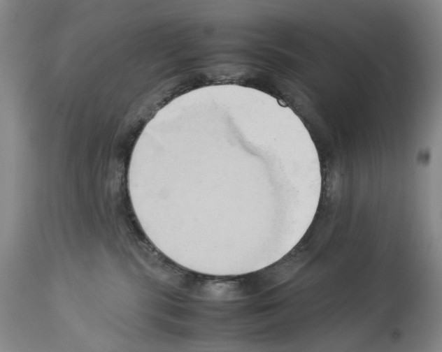 X0000114060283200911161136