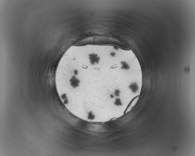 X0000114060285200911161136