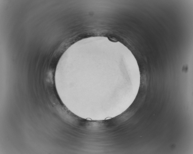 X0000114060286200911161136