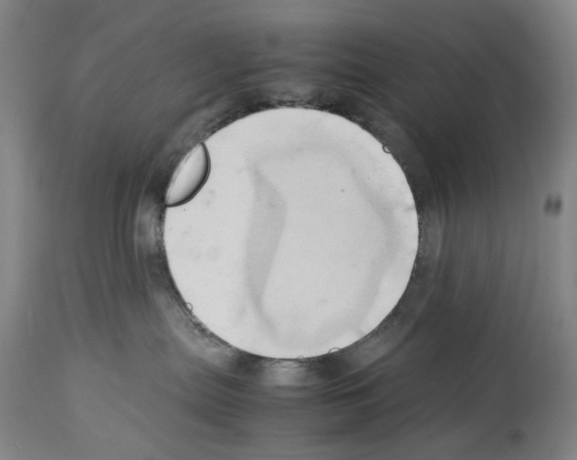 X0000114060287200911161136