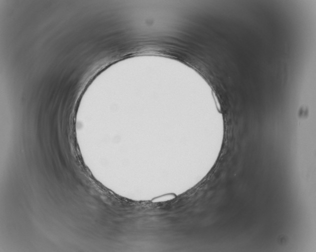 X0000114060289200911161135