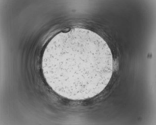 X0000114060291200911161135