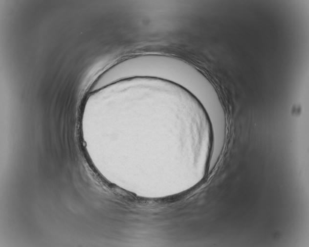 X0000114060293200911161135