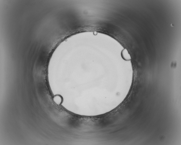 X0000114060297200911161135