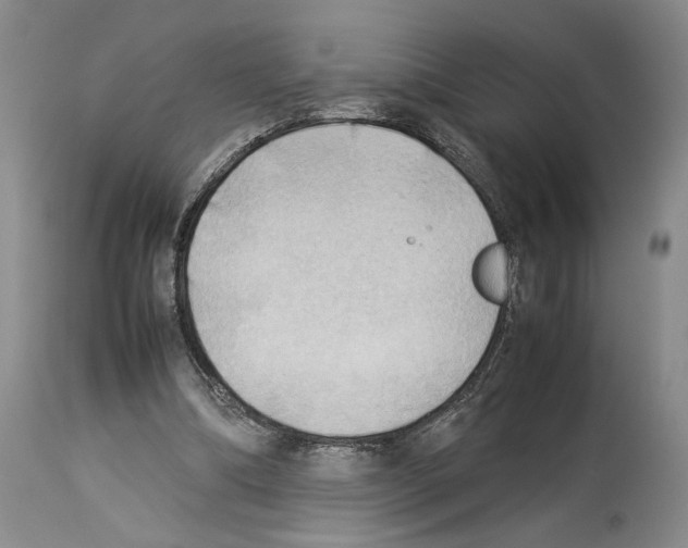 X0000114060298200911161135