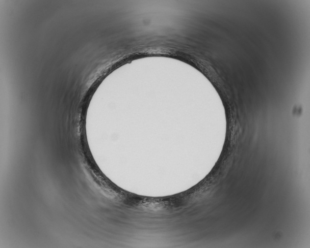 X0000114060299200911161135