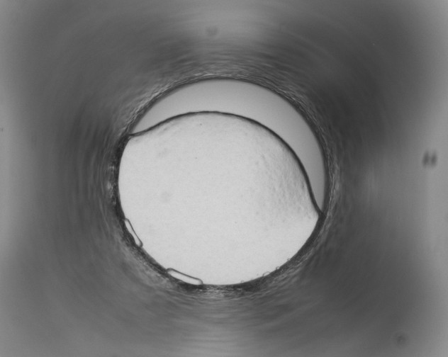 X0000114060305200911161135