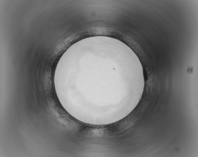 X0000114060306200911161135