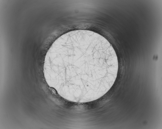 X0000114060307200911161135