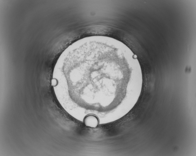 X0000114060309200911161135