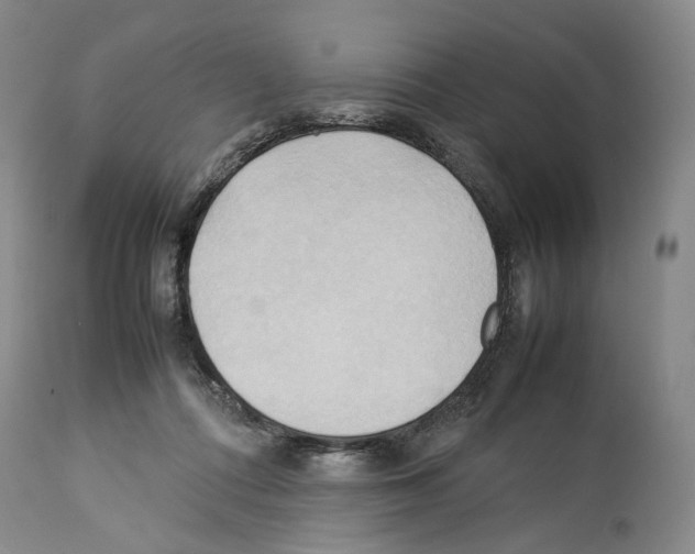 X0000114060312200911161135