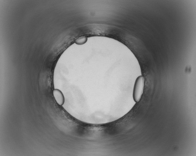 X0000114060313200911161135