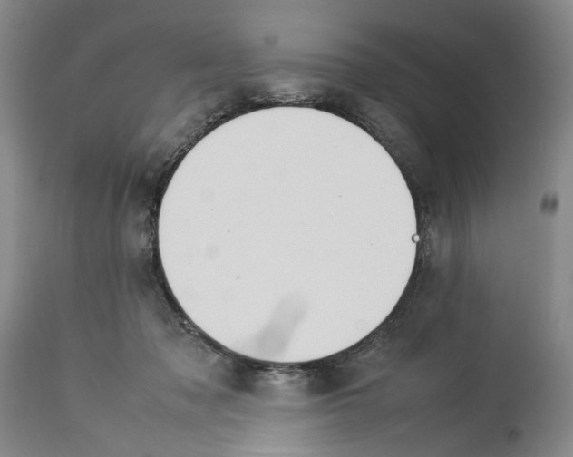 X0000114060317200911161135