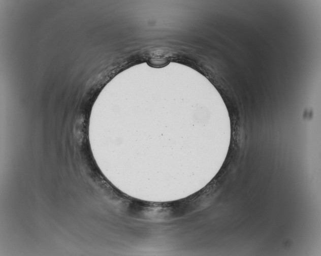 X0000114060319200911161135