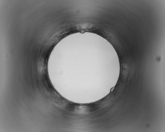 X0000114060324200911161135