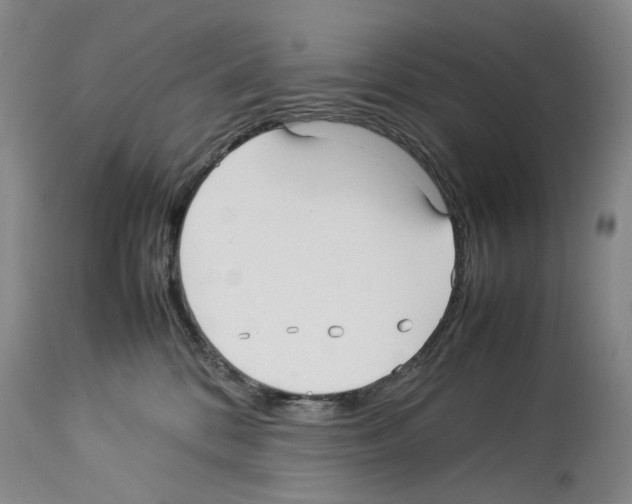 X0000114060328200911161134