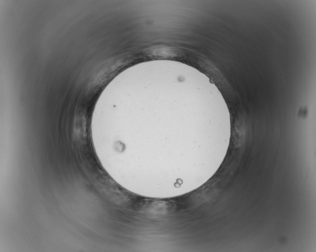 X0000114060330200911161134