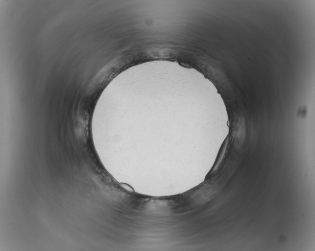 X0000114060332200911161134