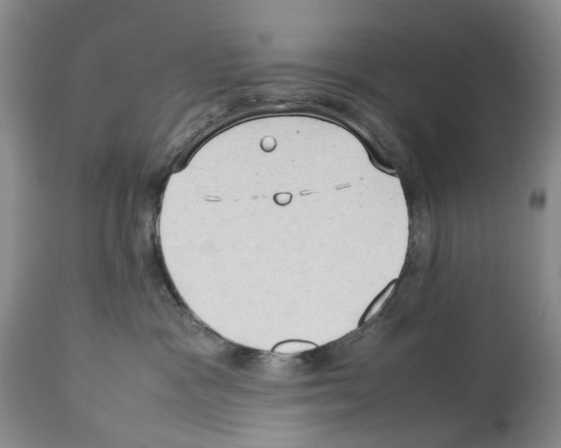 X0000114060333200911161134