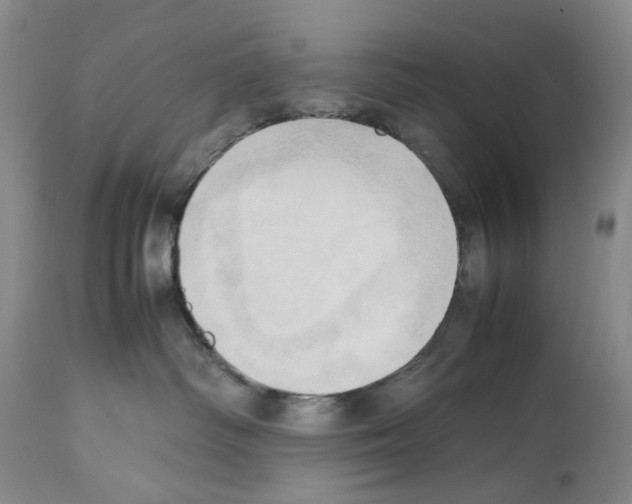 X0000114060334200911161134