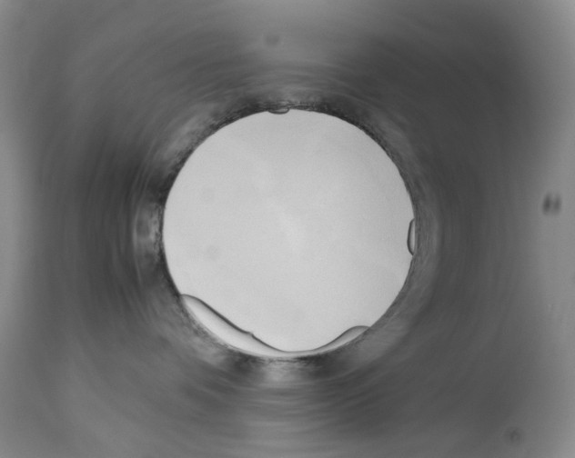 X0000114060336200911161134