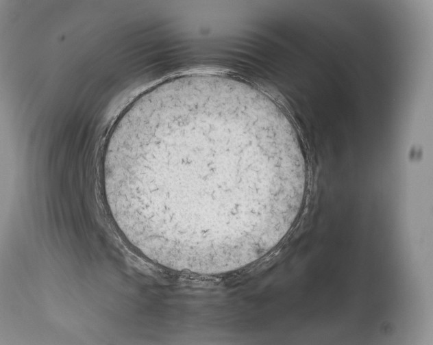 X0000114060337200911161133