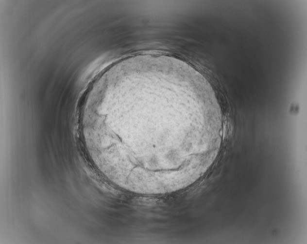 X0000114060339200911161133