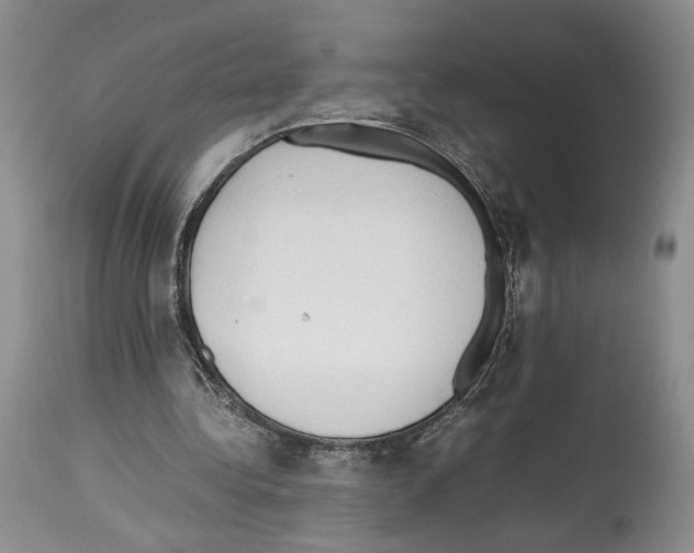 X0000114060340200911161133