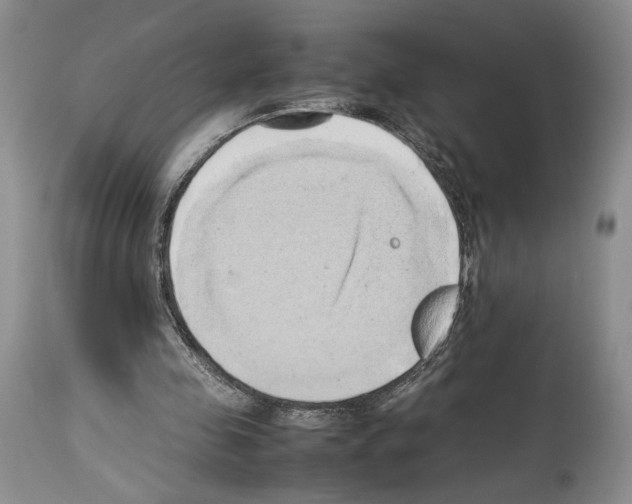 X0000114060341200911161133