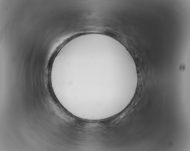 X0000114060342200911161133